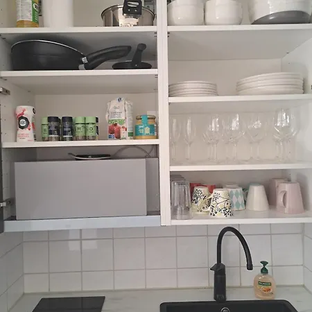 Apartman Quiet Parkside With A Fully Stocked Fridge Helsinki