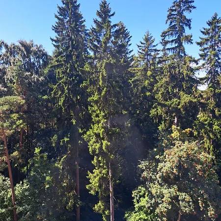 Quiet Parkside With A Fully Stocked Fridge Lejlighed Helsinki